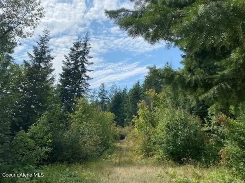 Picture 18