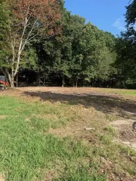 Unrestricted Land in Niota, TN