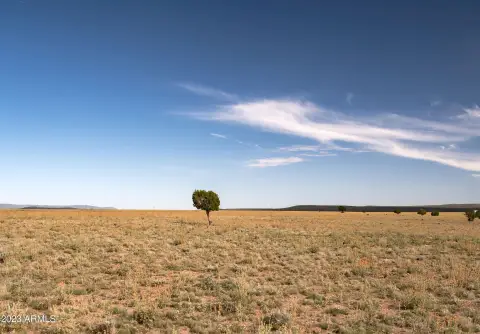 Land Near Ash Fork, Arizona