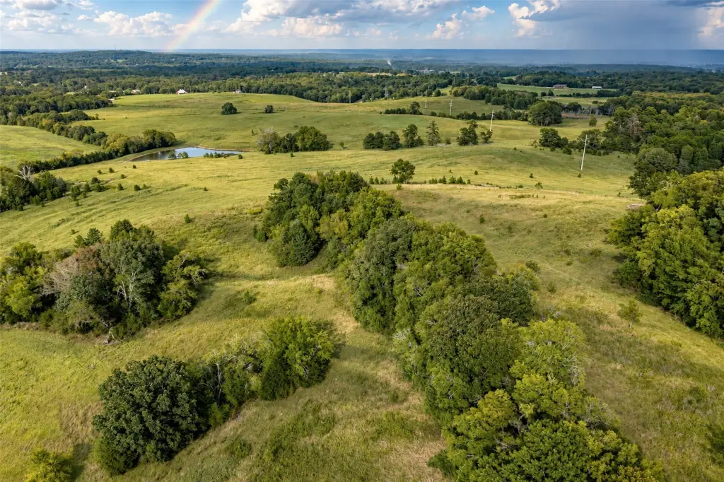 Picture 36