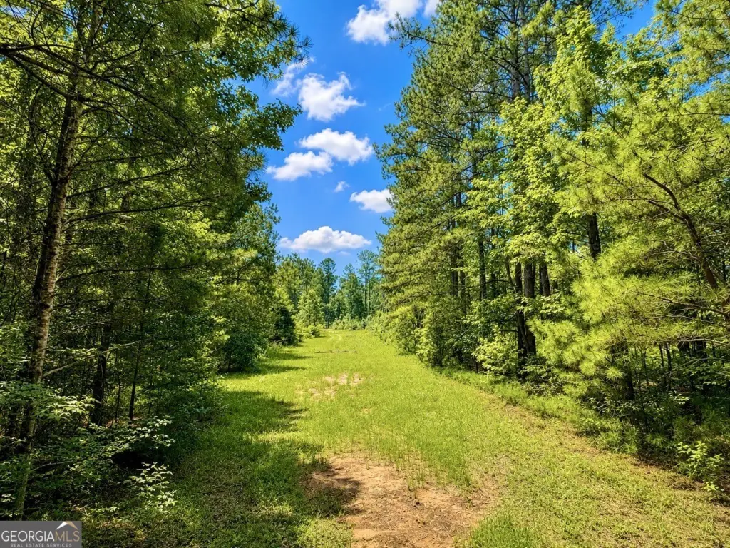 Picture 25