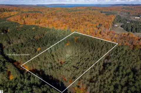 Empire, MI Wooded Land Parcel