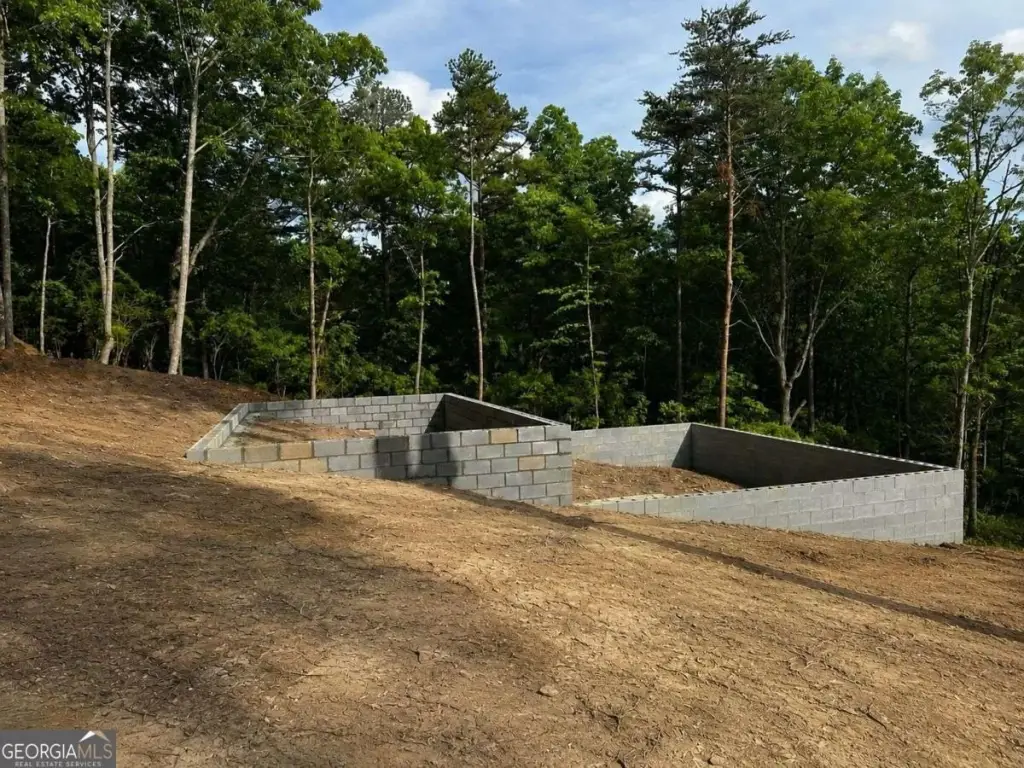 Picture 2