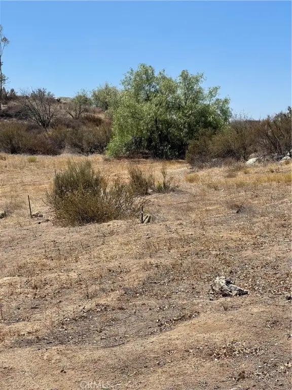 Picture 18