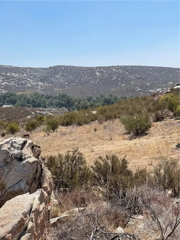 Picture 12