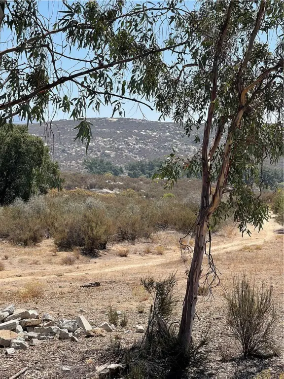 Picture 17