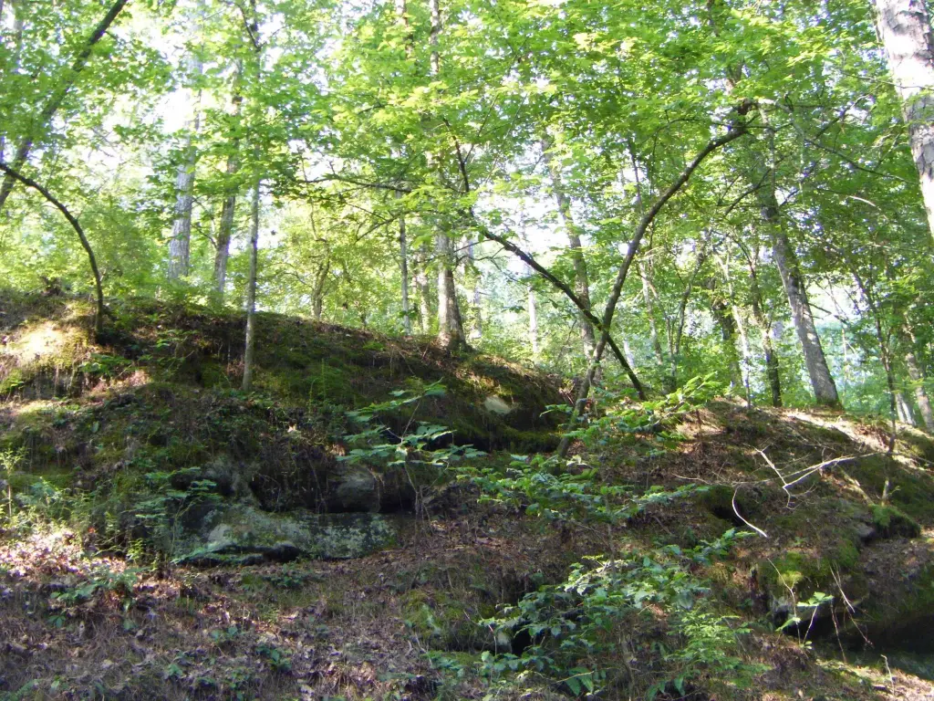 Picture 10