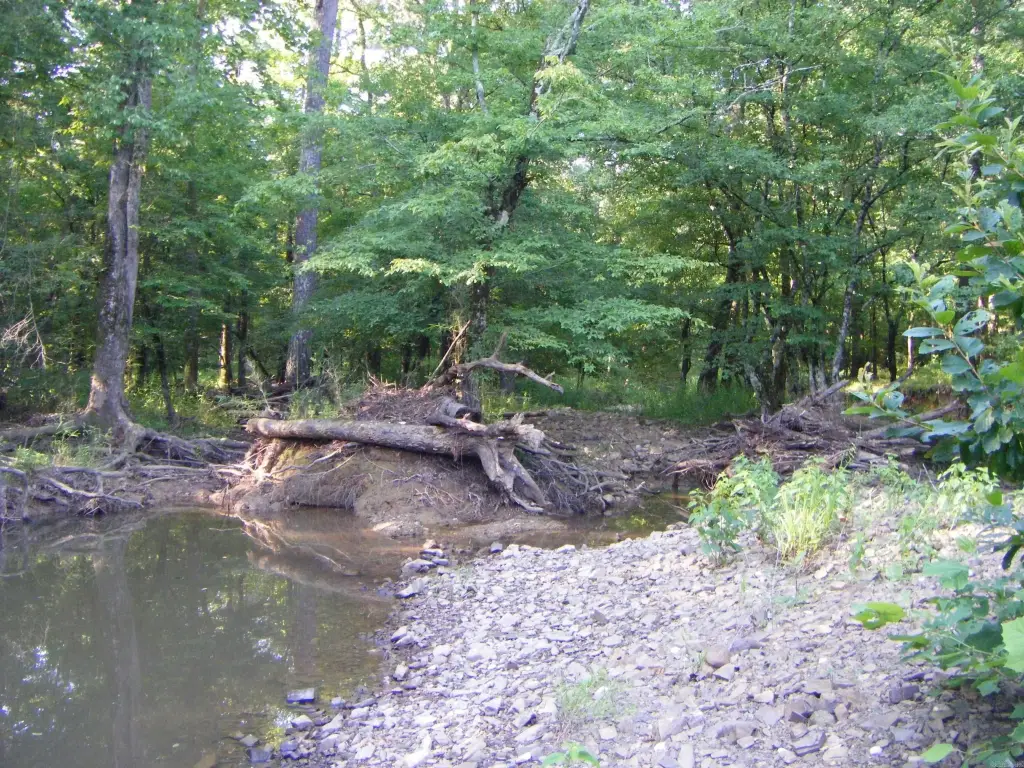 Picture 7