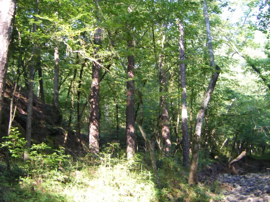 Picture 11
