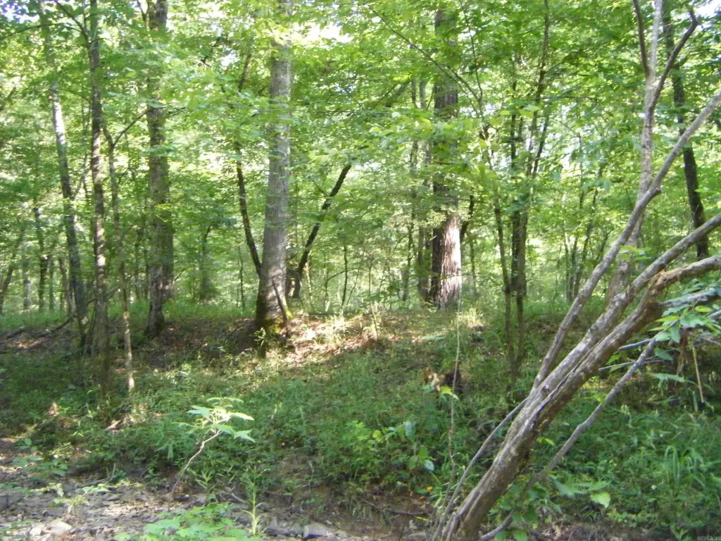 Picture 6