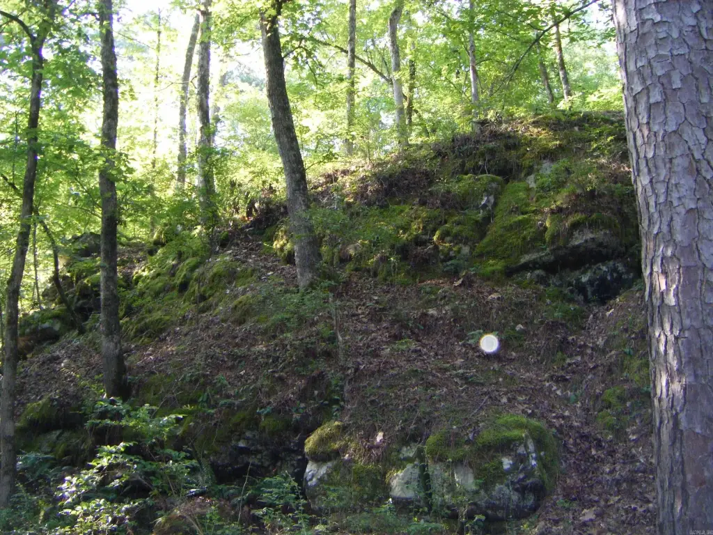 Picture 9