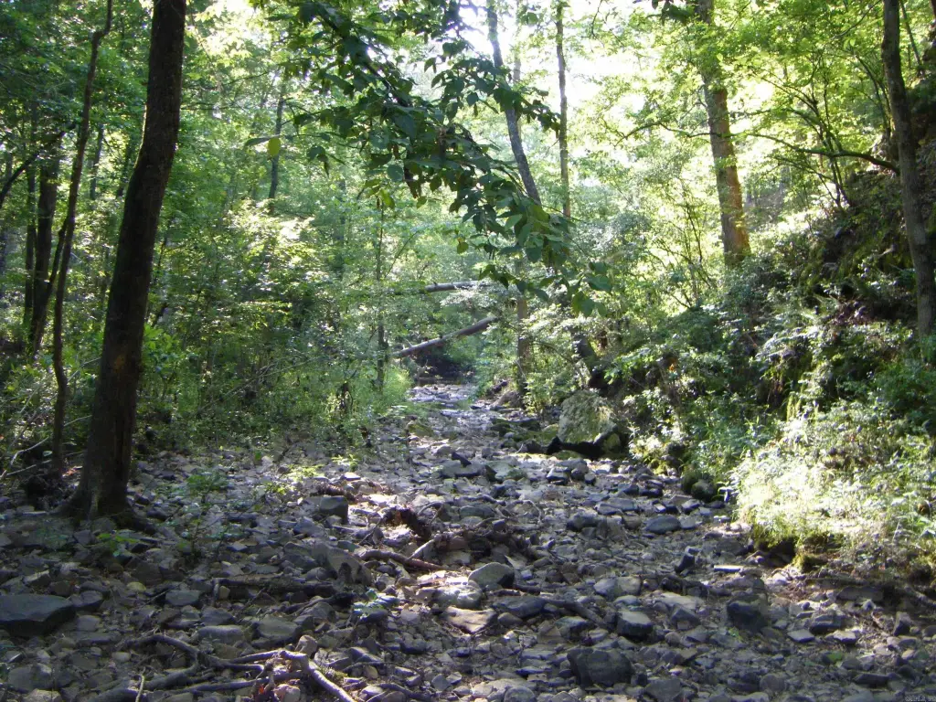 Picture 3