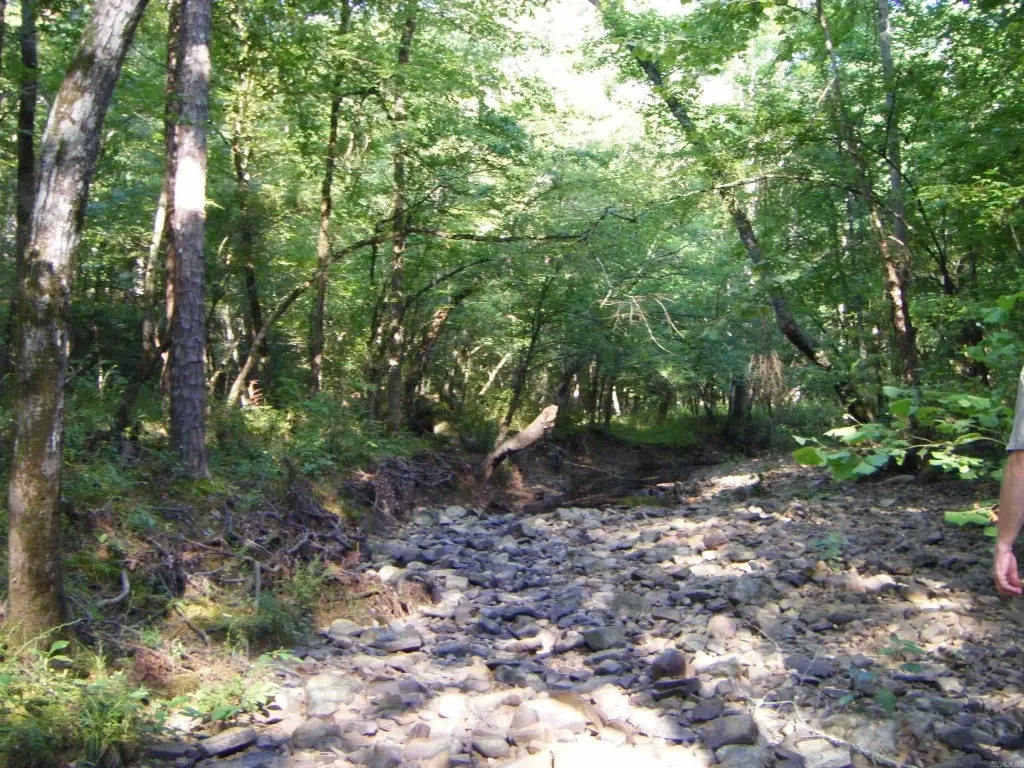 Picture 12