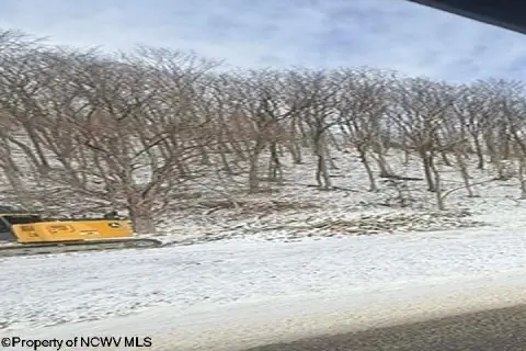 Residential Land in Elkins, WV