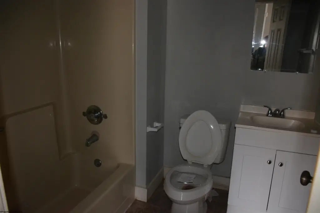 Picture 3