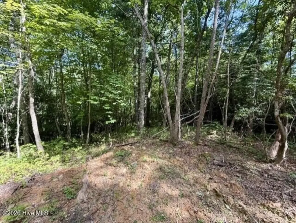 Picture 23