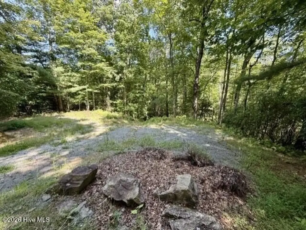 Picture 25