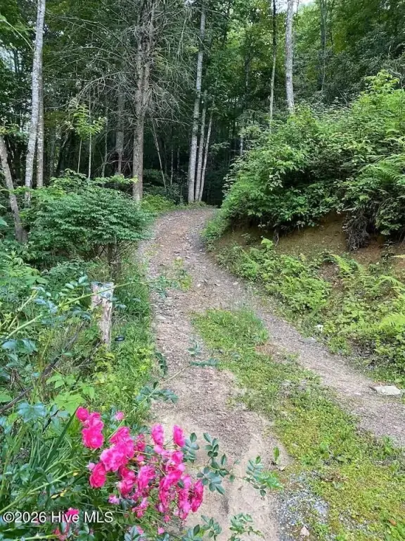 Picture 2
