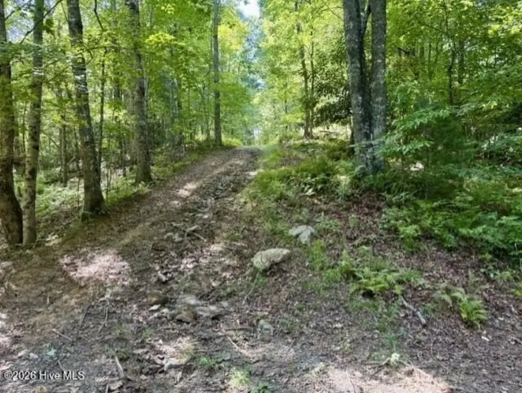 Picture 28
