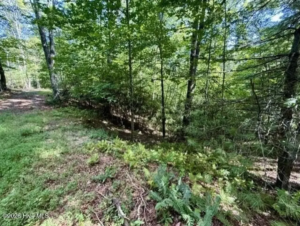 Picture 29