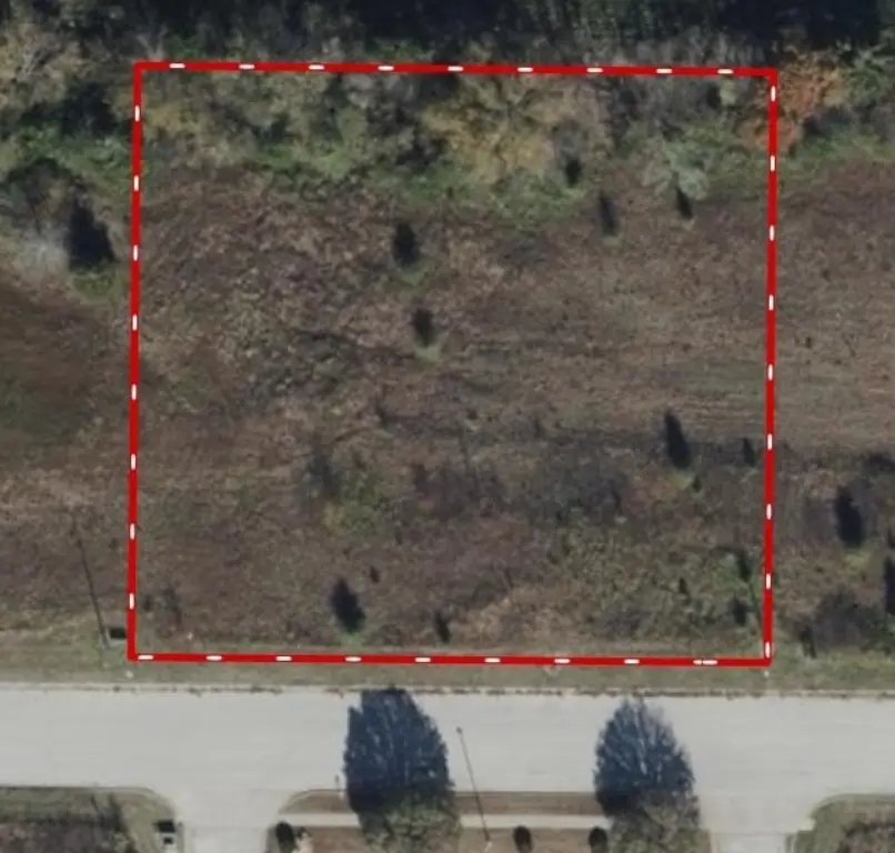 Picture 3