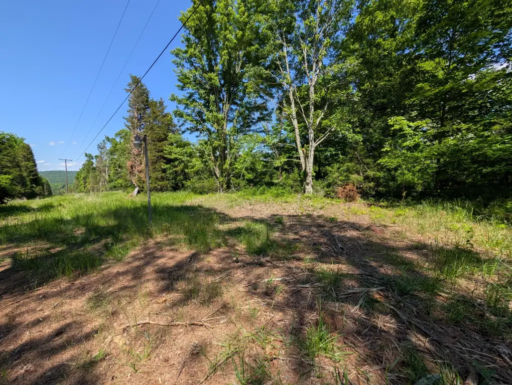 Picture 8