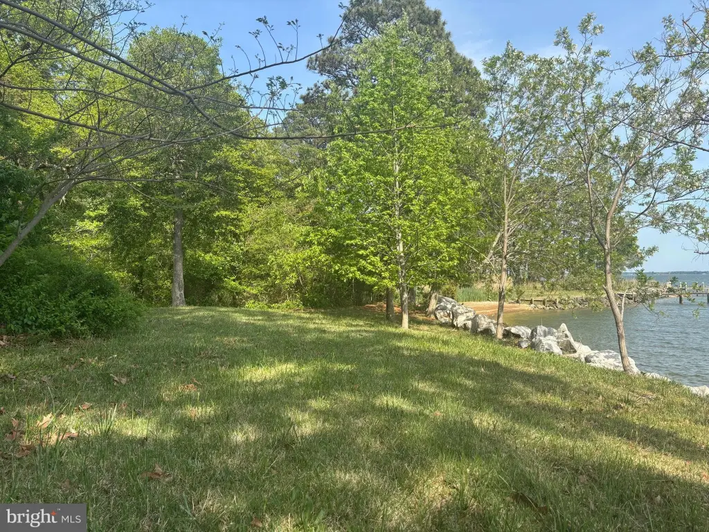 Picture 15
