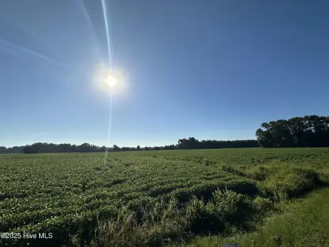 Cleared Land in Wayne County