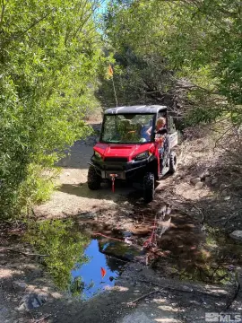 Nevada Land with Water Rights