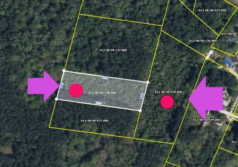 Land Available in Smoaks, SC