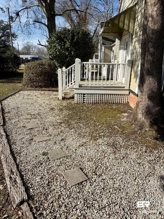 Picture 5