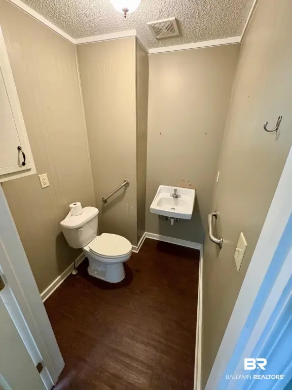 Picture 27