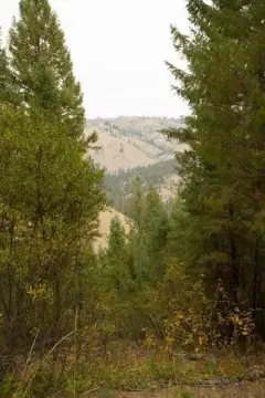 Idaho City Vacant Land For Sale