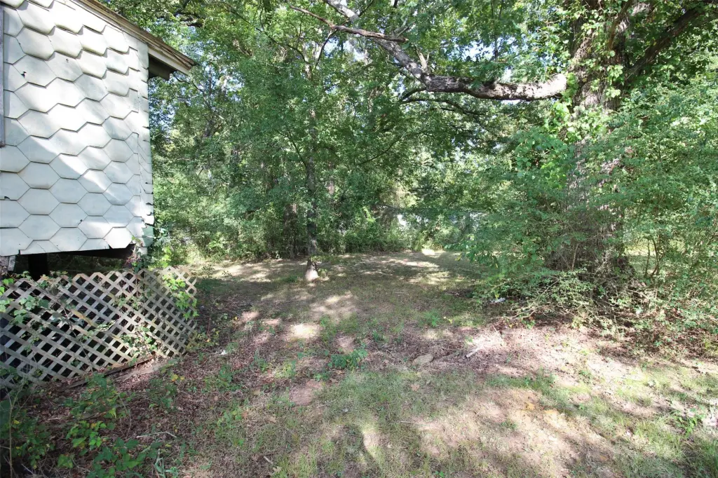 Picture 19