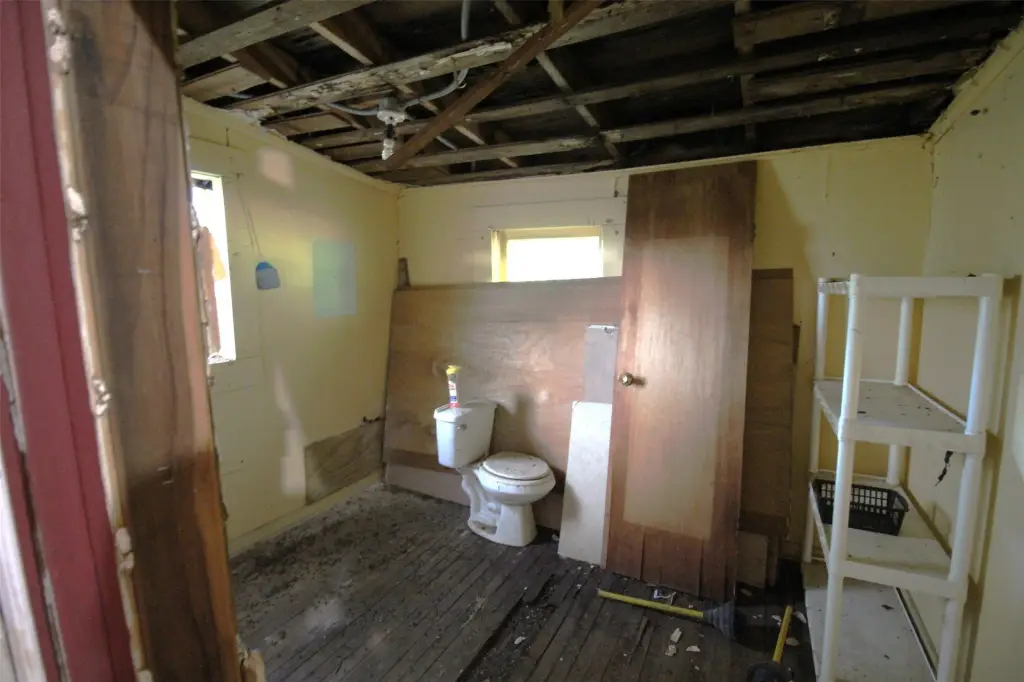 Picture 11