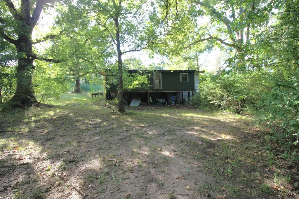 Picture 18