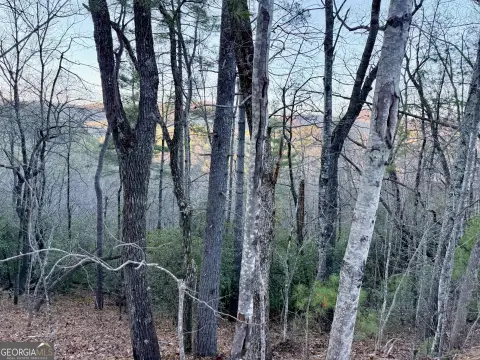 6.62 Acre Wooded Lot