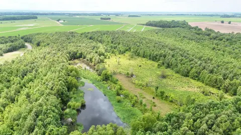 Prime Hunting Land with Pond