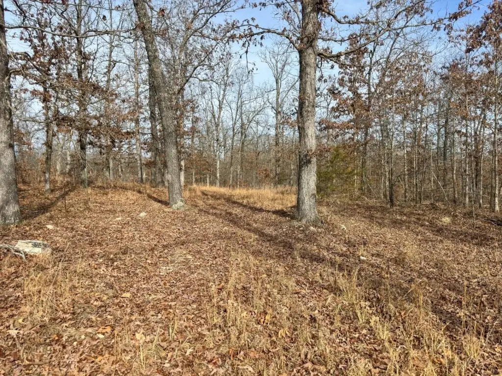 Picture 15