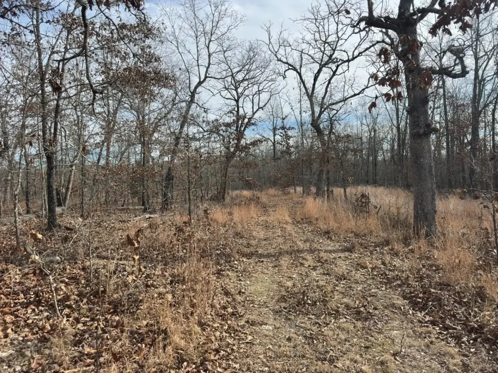 Picture 25