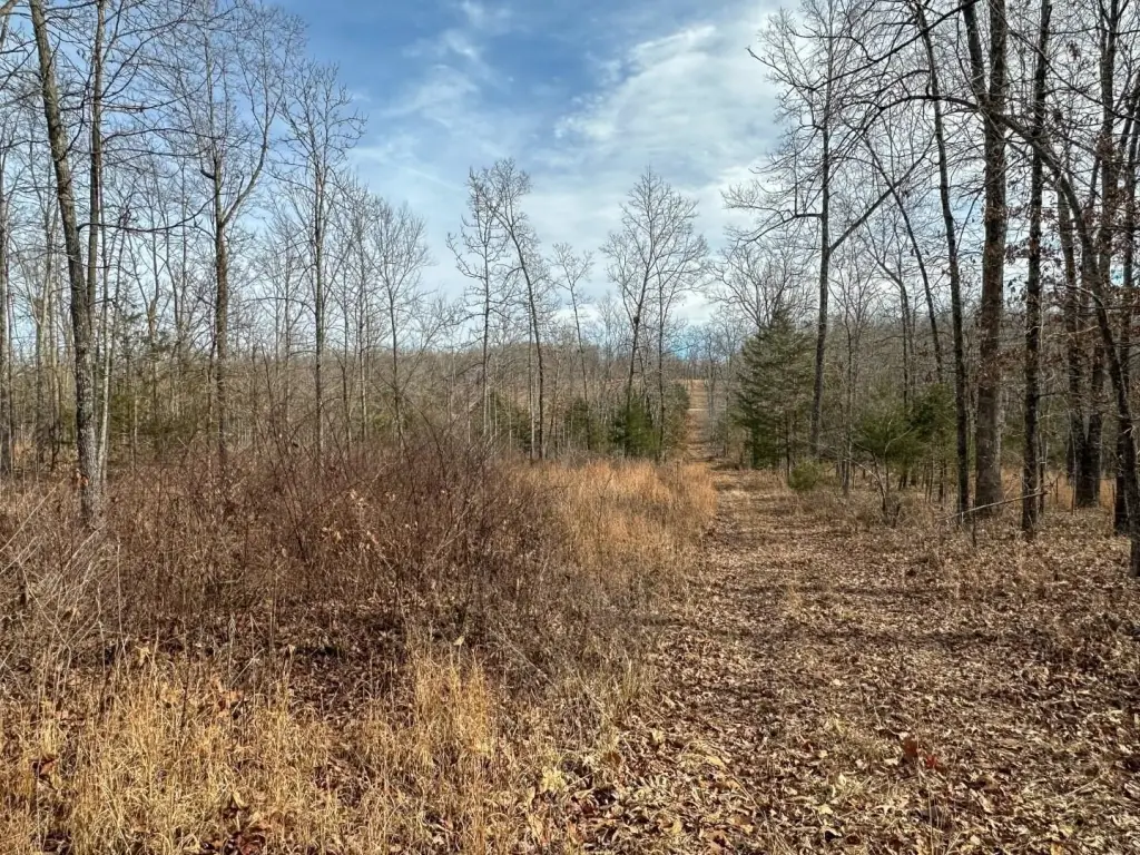 Picture 9