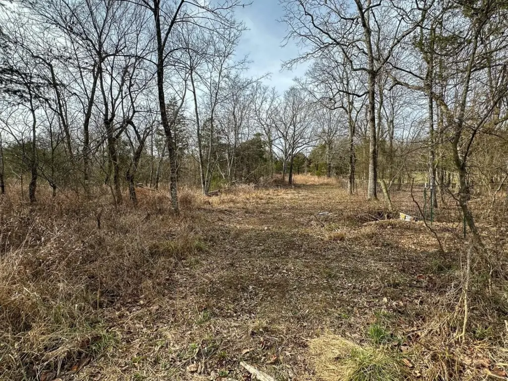 Picture 12