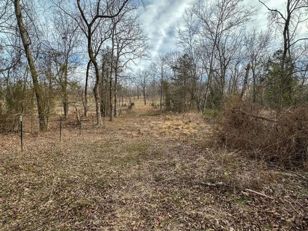 Picture 17