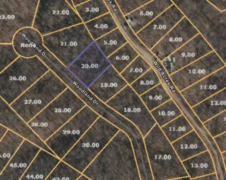 Undeveloped Lot in Holladay, TN