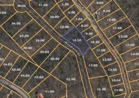 Undeveloped Lot in Holladay, TN