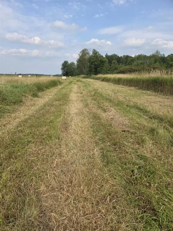 Picture 21