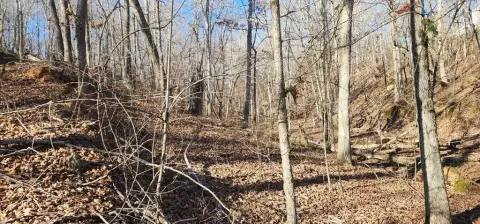 Holladay, TN Vacant Lot