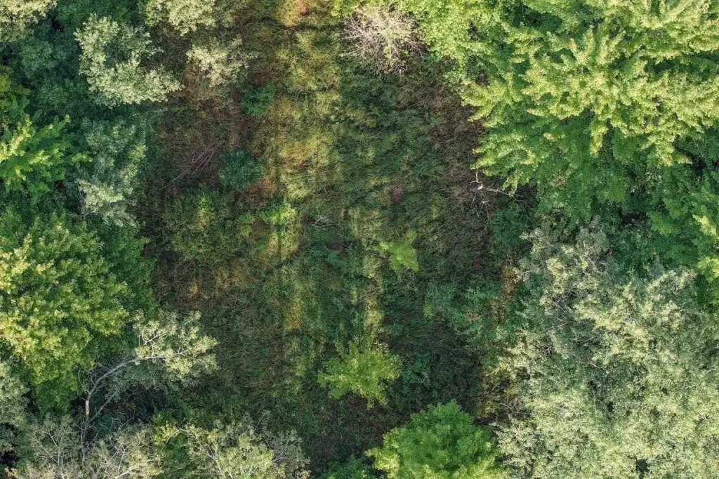 Picture 8