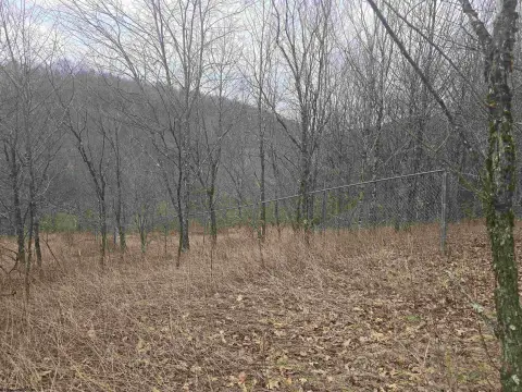 Residential Land Near Buckhannon