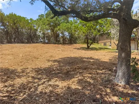 Cleared Land in Spring Branch